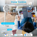 4 Smart Plugs