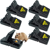 Mouse Traps