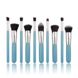 10 Piece Blue Brush Set