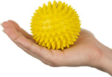 Spiky Massage Ball Set