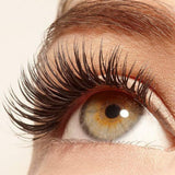Eyelash and Eyebrow Serum