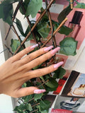 Rosa Coffin Nails