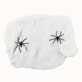 Halloween Spider Web - Direct Savings Online