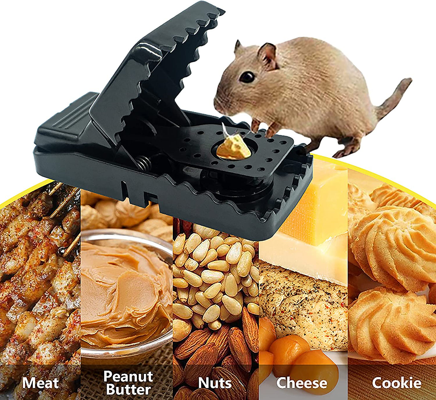 Mouse Traps