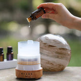 Rotatable Planet Aroma Diffuser
