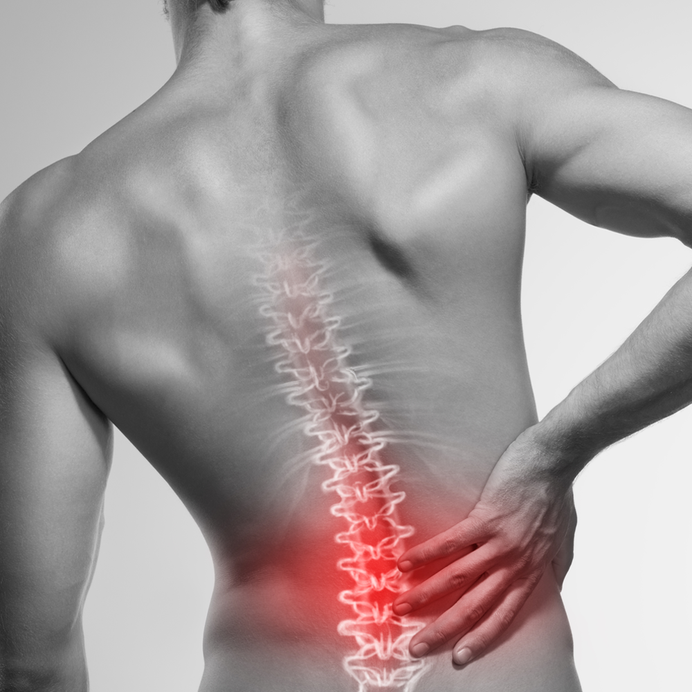 Self Heating Magnetic Back Pain Support - Direct Savings Online 