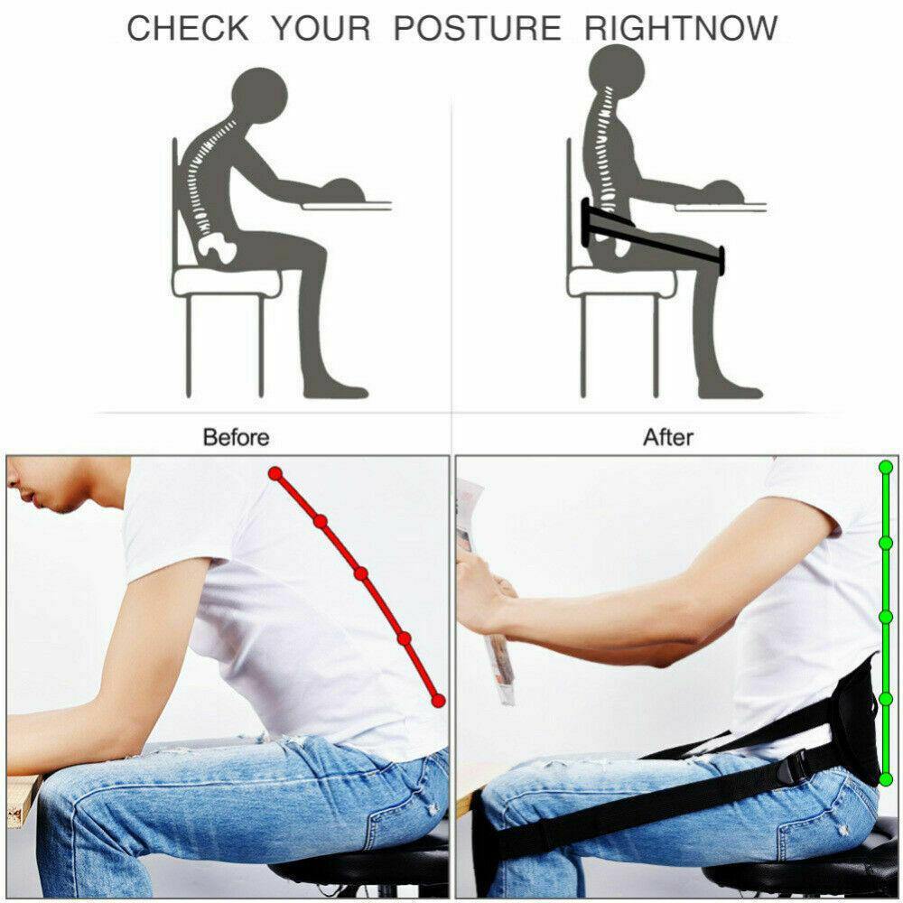 Lower Lumbar Support - Direct Savings Online 