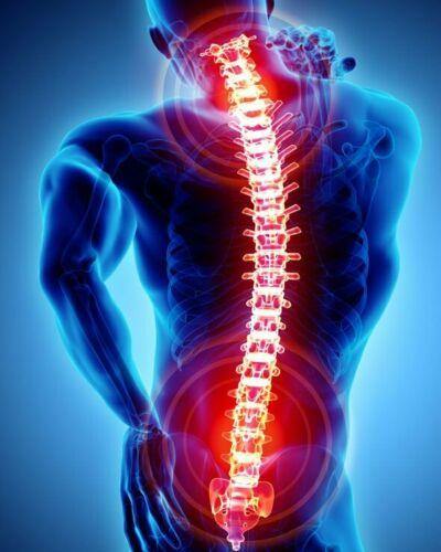 Lower Lumbar Support - Direct Savings Online 